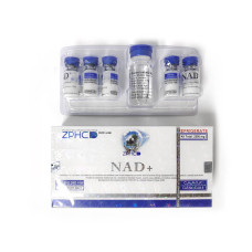 NAD+ ZPHC - KIT 2500 mg (5 frascos × 500 mg)